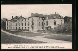 CPA Saint-Epain, Ruines Du Chateau De Montgogu  - Other & Unclassified