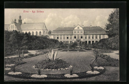 AK Oliva, Parkanlagen Vor Dem Kgl. Schloss  - Westpreussen