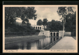 AK Königsberg I. Ostpr., Partie Auf Der Schlossteich-Promenade  - Ostpreussen