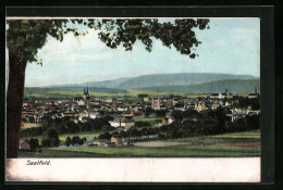 AK Saalfeld A. Saale, Generalansicht Der Stadt  - Saalfeld