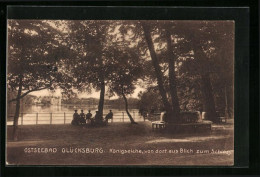 AK Glücksburg, Königseiche Mit Blick Zum Schloss  - Gluecksburg