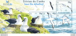 Fauna. Uccelli. Albatros 2003. - Tristan Da Cunha