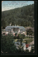 AK Bad Rippoldsau, Blick Auf Die Villa Sommerberg  - Other & Unclassified