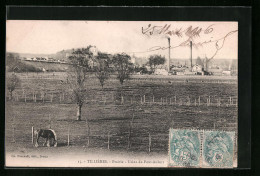 CPA Tillières, Prairie, Usine Du Pont-Aubert  - Autres & Non Classés