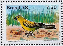 C 1036 Brazil Stamp Fauna Birds Sicalis Faveola 1978 - Unused Stamps