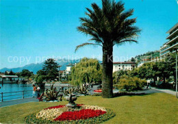 12641729 Locarno Lago Maggiore See Promenade Palme Locarno - Sonstige & Ohne Zuordnung