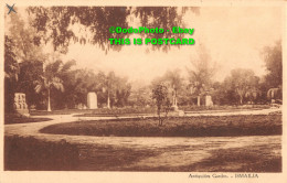 R415905 Antiquities Garden. Ismailia. M. Stg. Egypt - World