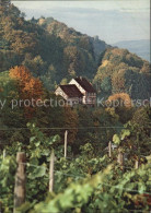 12588489 Salenstein TG Hinterburg Herbststimmung 75 Jahre Thurgauer Heimatschutz - Autres & Non Classés