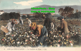 R415043 Sur La Cote D Azur. La Cueillette Des Roses. LL. 8. 1912 - World