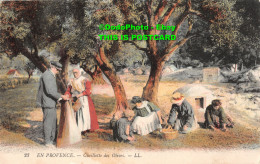R415052 En Provence. Cueillette Des Olives. LL. 23. 1912 - Monde
