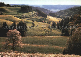 12586639 Sitzberg Panorama  Sitzberg - Altri & Non Classificati