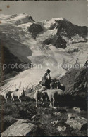 12586329 Sustenstrasse Tierberge Schafe Gletscher Gebirgspanorama Sustenstrasse - Sonstige & Ohne Zuordnung