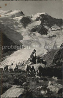 12586329 Sustenstrasse Tierberge Schafe Gletscher Gebirgspanorama Sustenstrasse - Autres & Non Classés