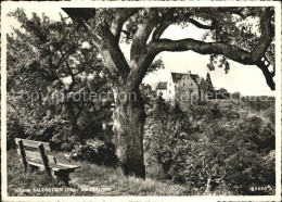 12585299 Salenstein TG Schloss Am Untersee Bodensee Alter Baum Ruhebank Salenste - Andere & Zonder Classificatie