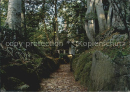 12563689 Kuessnacht Am Rigi Hohle Gasse  Tells-Kapelle Kuessnacht - Andere & Zonder Classificatie