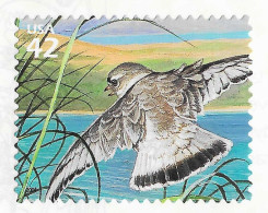 USA 2008 MiNr. 4439 Great Lake Dunes #10, Birds, Piping Plover  1v MNH** 1.00 € - Otros & Sin Clasificación