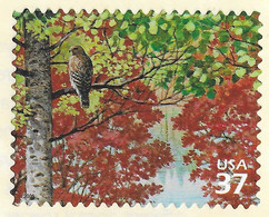 USA 2005 MiNr. 3907 NORTHEAST DECIDUOUS FOREST Birds Red-shouldered Hawk 1v MNH**  0.90 € - Águilas & Aves De Presa