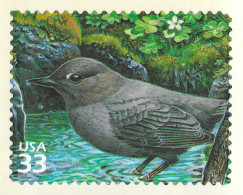 USA 2000 MiNr. 3267 Etats-Unis Pacific Coast Raine Forest #2 Birds American Dipper 1v  MNH** 0,80 € - Autres & Non Classés