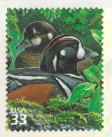 USA 2000 MiNr. 3265 Etats-Unis Pacific Coast Raine Forest #2 Birds Ducks Harlequin Duck 1v  MNH** 0,80 € - Canards