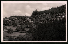Fotografie Brück & Sohn Meissen, Ansicht Bärenfels I. Erzg., Blick Auf Die Villen Im Ort  - Lieux