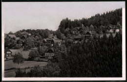 Fotografie Brück & Sohn Meissen, Ansicht Bärenfels I. Erzg., Teilansicht Der Villen Im Ort  - Lieux