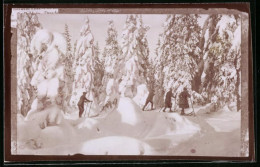 Fotografie Brück & Sohn Meissen, Ansicht Oberbärenburg I. Erzg., Skieläufer Im Verschneiten Wald Beim Auslauf  - Places