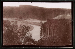 Fotografie Brück & Sohn Meissen, Ansicht Wechselburg A. D. Mulde, Waldpartie An Der Mulde  - Lieux