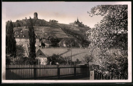 Fotografie Brück & Sohn Meissen, Ansicht Radebeul, Partie Am Weingut Mit Blick Zum Bismarckturm Und Spitzhaus  - Lieux