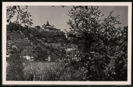 Fotografie Brück & Sohn Meissen, Ansicht Radebeul, Blick Vom Weingut Hofmannberg Zum Spitzhaus  - Places