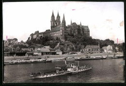 Fotografie Brück & Sohn Meissen, Ansicht Meissen I. Sa., Raddampfer  Pirna  Auf Der Elbe Vor Der Stadt  - Bateaux