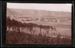 Fotografie Brück & Sohn Meissen, Ansicht Diesbar / Elbe, Blick Aus Dem Wald Auf Den Ort  - Places