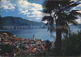 12371629 Ascona TI Ortsansicht Berge Ascona - Other & Unclassified