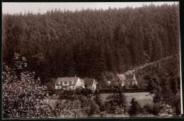 Fotografie Brück & Sohn Meissen, Ansicht Bad Berggiesshübel, Blick Auf Zwiesel Mit Gasthaus Waldfrieden  - Orte