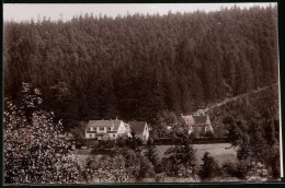 Fotografie Brück & Sohn Meissen, Ansicht Bad Berggiesshübel, Blick Auf Zwiesel Mit Gasthaus Waldfrieden  - Lieux