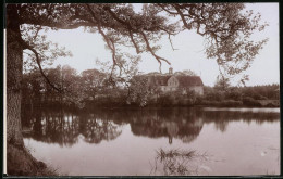 Fotografie Brück & Sohn Meissen, Ansicht Grillenburg, Blick über Den See Zum Jagdschloss  - Orte