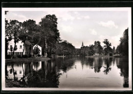 Fotografie Brück & Sohn Meissen, Ansicht Pulsnitz I. Sa., Blick über Den Schlossteich Mit Wohnhäusern  - Orte