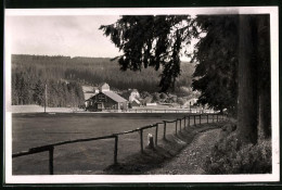 Fotografie Brück & Sohn Meissen, Ansicht Steinbach B. Johanngeorgenstadt, Blick Aus Dem Wald Auf Den Ort  - Orte