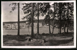 Fotografie Brück & Sohn Meissen, Ansicht Steinbach B. Johanngeorgenstadt, Blick Vom Wald Zum Ort  - Orte