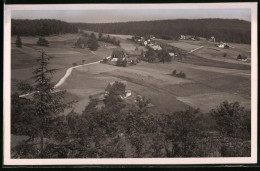 Fotografie Brück & Sohn Meissen, Ansicht Schellerhau I. Erzg., Blick Vom Berg Auf Den Ort  - Orte