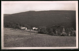 Fotografie Brück & Sohn Meissen, Ansicht Schellerhau I. Erzg., Blick Von Oben Auf Dem Ort Und Die Umgebung  - Places