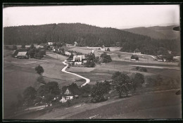 Fotografie Brück & Sohn Meissen, Ansicht Schellerhau I. Erzg., Blick Auf Den Ort Mit Strassenpartie  - Orte