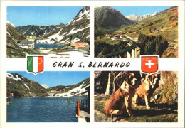12367919 San Bernardino GR San Bernadino Pass Aostatal Bergsee Bernhardiner San  - Other & Unclassified