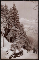 Fotografie Brück & Sohn Meissen, Ansicht Kipsdorf, Waldpartie Im Verschneiten Winter  - Luoghi