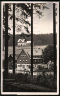 Fotografie Brück & Sohn Meissen, Ansicht Steinbach B. Johanngeorgenstadt, Blick Nach Dem Hotel Waldesruhe  - Orte