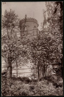 Fotografie Brück & Sohn Meissen, Ansicht Collm, Turm Auf Dem Collmberg Bei Oschatz  - Places
