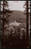 Fotografie Brück & Sohn Meissen, Ansicht Kipsdorf I. Erzg., Blick Aus Dem Wald Auf Die Kirche  - Orte