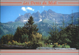 12366899 Champoussin Les Dents Du Midi Champoussin - Other & Unclassified