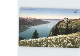 12359289 Caux VD Palace Hotel See Blumenwiese Caux - Andere & Zonder Classificatie