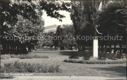 12338149 Rorschach Bodensee Seepark Rorschach - Autres & Non Classés