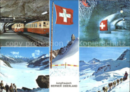 12336769 Jungfraubahn Jungfraujoch Polarhunde Jungfraubahn - Altri & Non Classificati